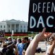 Deferred Action for Childhood Arrivals DACA